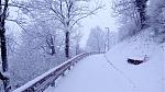 IMG-20180117-WA0002.jpeg