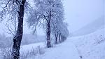 IMG-20180117-WA0004.jpeg