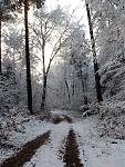 IMG_20180121_102629871.jpg