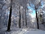 IMG_20180121_102649253.jpg