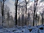 IMG_20180121_103251813_HDR.jpg