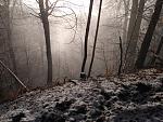 IMG_20180121_104839918.jpg