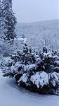 IMG_20180121_090301.jpg