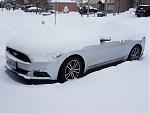 stang_snow_Feb2018.jpg