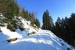 IMG_6195.JPG