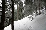IMG_6215.JPG