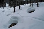 IMG_6217.JPG