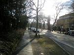 IMGP8469.JPG