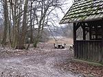 12 - 20180302_144936_01.JPG