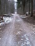 16 - 20180302_144139_01.JPG