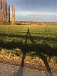 IMG_5281e.jpg