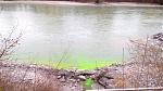 IMG-20180315-WA0012.jpeg