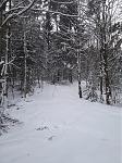 20180318_Lauf1_2.jpg