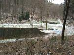 Schwanenweiher.jpg