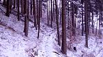 IMG-20180319-WA0000.jpeg
