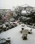 IMG_20180321_032332.jpg