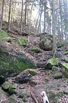 IMG_4000.JPG