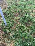 IMG_5819.jpg