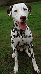 IMG-20180413-WA0004 - Kopie.png