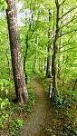 IMG_20180424_191007k.jpg