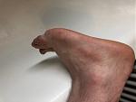 IMG_0160.jpg