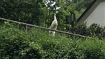 IMG-20180520-WA0002.jpg