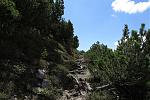 IMG_7371.JPG
