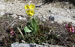 IMG_7375.JPG