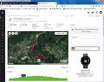Willi Comin Lauf 2018.jpg