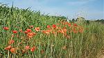 20180611_094551.jpg