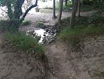 20180705_153831.jpg