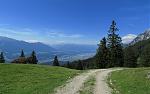 IMG_8617.JPG