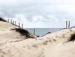 IMG_2074.jpg