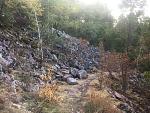 IMG_4551_1.jpg