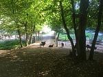 IMG_4603_1.jpg