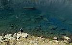 IMG_8749.JPG