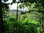 SDC11103.JPG