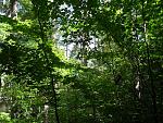 SDC11109.JPG