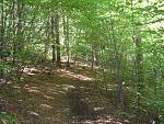 SDC11110.JPG