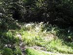 SDC11129.JPG
