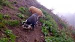 IMG-20180915-WA0011.jpeg