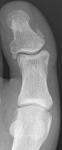 D01.jpg