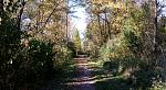 IMG_20181014_104045.jpg