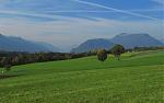 IMG_9178.JPG