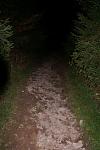 trail.jpg