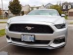 stang_oct18_2.jpg