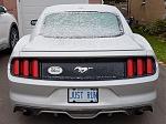 stang_oct18_3.jpg