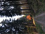 A593632E-17A4-4E4D-8CB8-AC66DD582FFE.jpeg