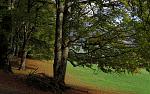 IMG_9552.JPG