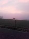 20181106_072339.jpg